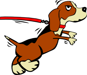 Renewing Your Dog License